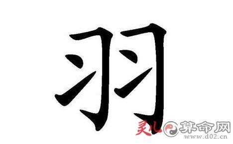 羽的名字|带羽字的名字